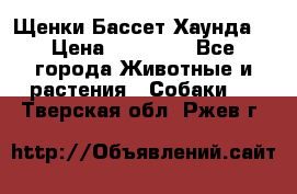 Щенки Бассет Хаунда  › Цена ­ 25 000 - Все города Животные и растения » Собаки   . Тверская обл.,Ржев г.